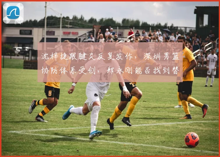 沈梓捷跟腱炎反复发作,深圳男篮协防体系受创,郑永刚能否找到替代方案?
